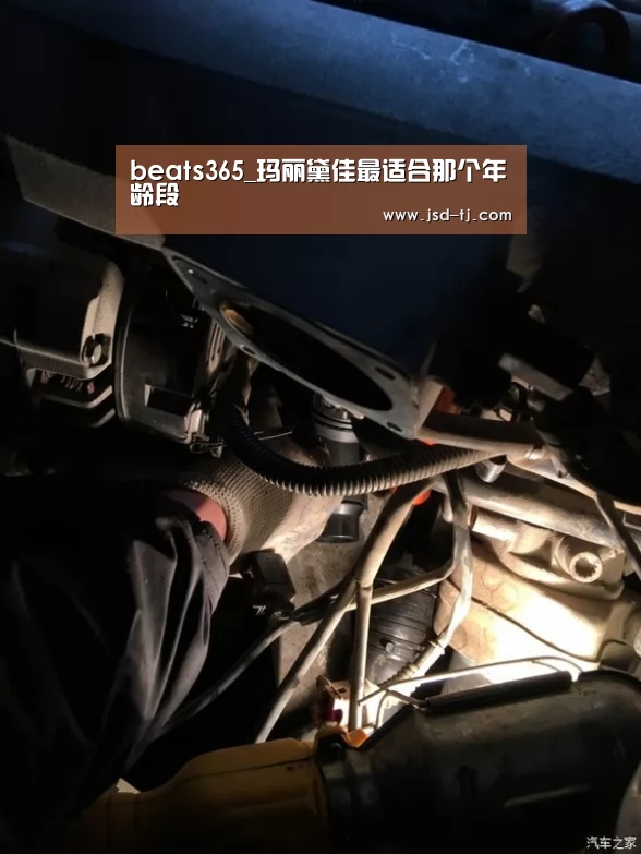 beats365_玛丽黛佳最适合那个年龄段