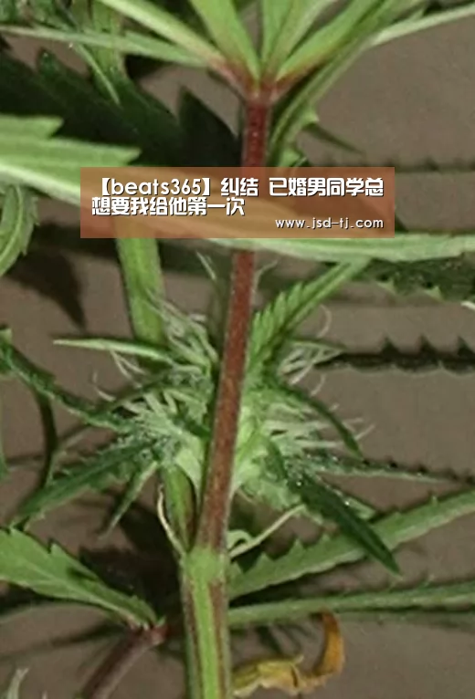 beats365唯一官网