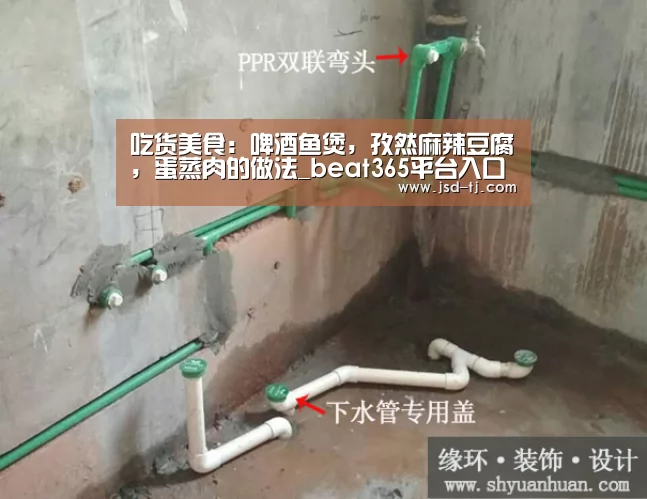 吃货美食:啤酒鱼煲,孜然麻辣豆腐,蛋蒸肉的做法_beat365平台入口(图4) beat365平台入口