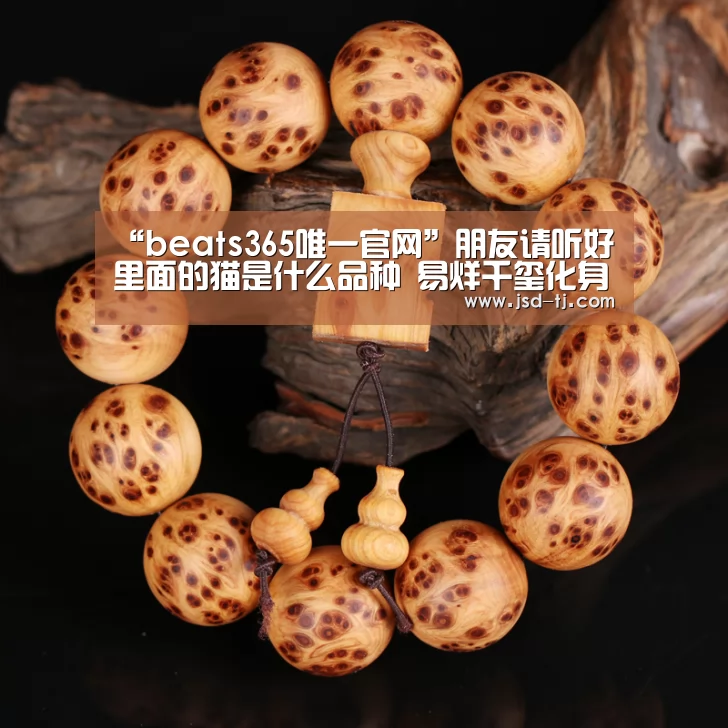 “beats365唯一官网”朋友请听好里面的猫是什么品种 易烊千玺化身撸猫少年(图1) beat365平台入口