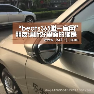 “beats365唯一官网”朋友请听好里面的猫是什么品种 易烊千玺化身撸猫少年(图3) beat365平台入口